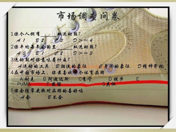 回力鞋营销策划书